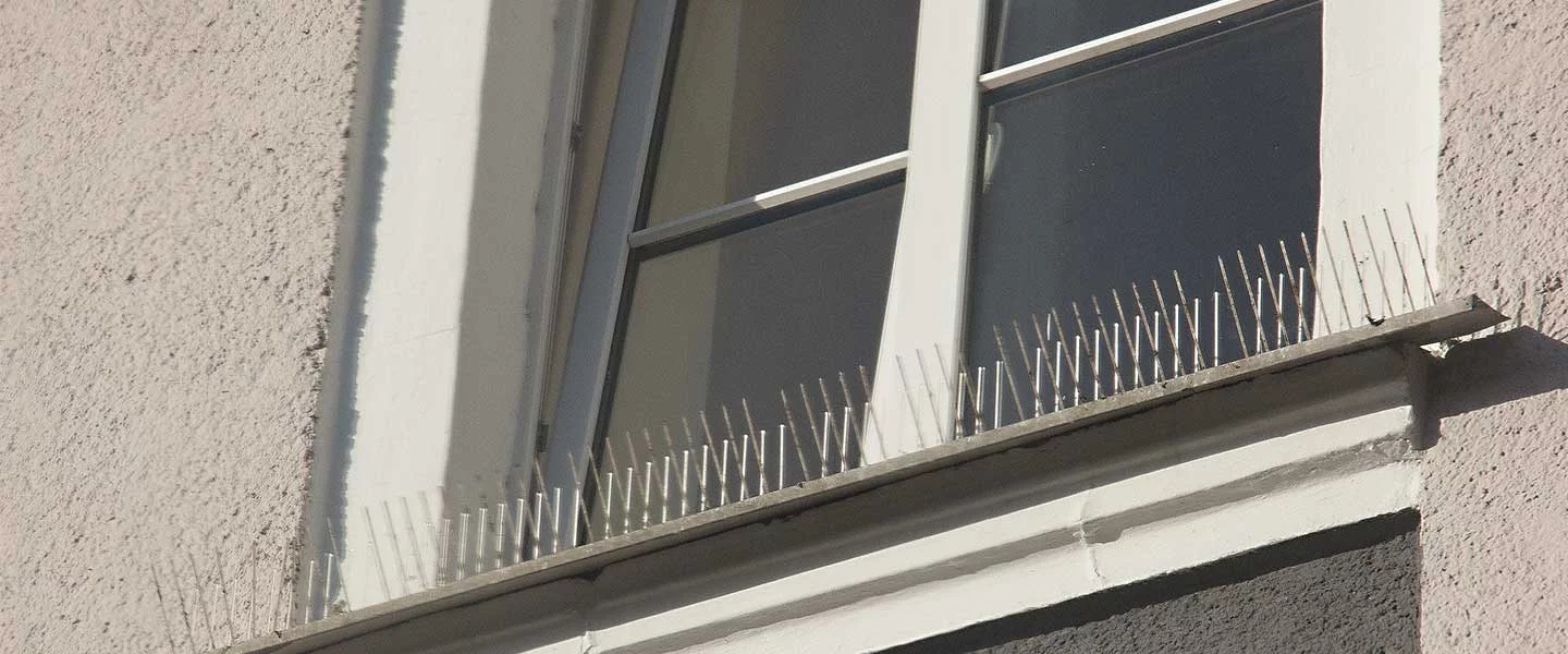 Taubenabwehr an Fenstersims angebracht