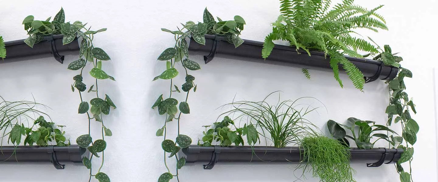Grün bepflanzte Wand mit Vertikaler-Garten-Set